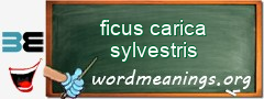 WordMeaning blackboard for ficus carica sylvestris